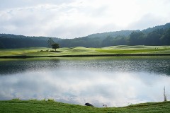 1landscapes